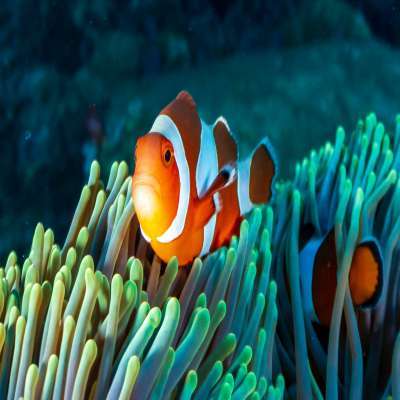 Maldives Place to visit